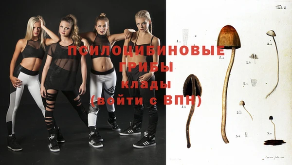 первитин Новодвинск