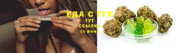 первитин Новодвинск