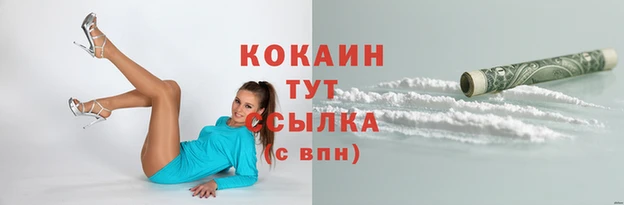 спиды Новокубанск