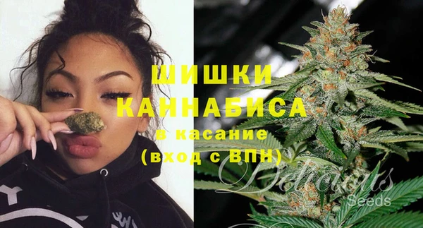 марки lsd Новозыбков
