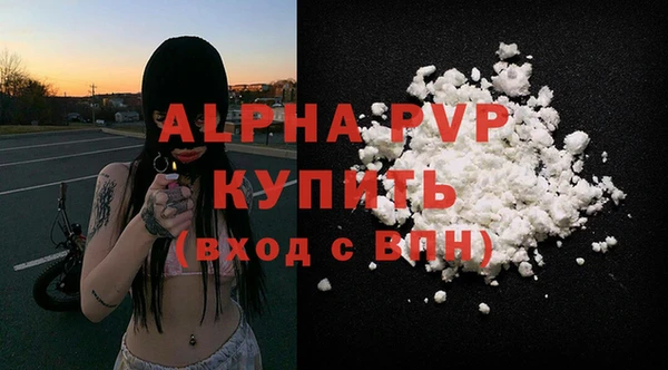 первитин Новодвинск