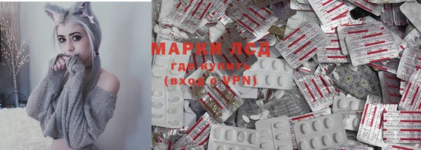 спиды Новокубанск
