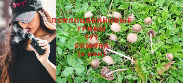 ГАЛЛЮЦИНОГЕННЫЕ ГРИБЫ Шарыпово