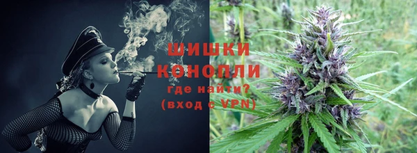 первитин Новодвинск