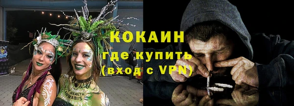 МДПВ Шали
