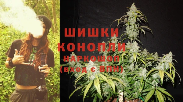 первитин Новодвинск